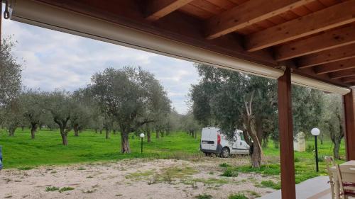 a white van parked in a field with trees at Bingo in Alghero