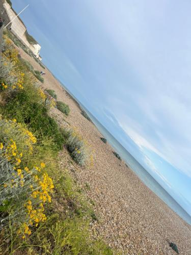 a beach with flowers and the ocean in the background at Saltdean Stay in Brighton & Hove