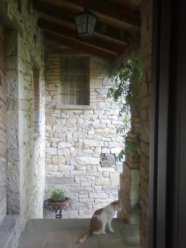 a cat sitting on the porch of a brick building at Monpoupon in Gropparello