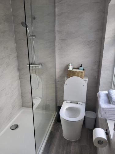 a bathroom with a shower and a toilet and a tub at Mountain View Cottages V92X961 in Tralee