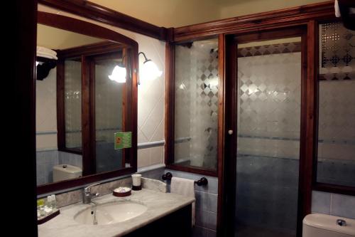 La salle de bains est pourvue d'un lavabo et d'une douche. dans l'établissement Hotel Pico Espiguete, à Alba de los Cardaños