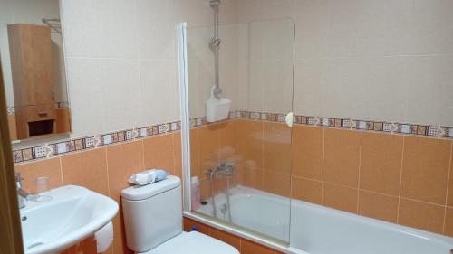 uma casa de banho com um chuveiro, um WC e um lavatório. em Casa Preguntoiro em Vilagarcía de Arousa