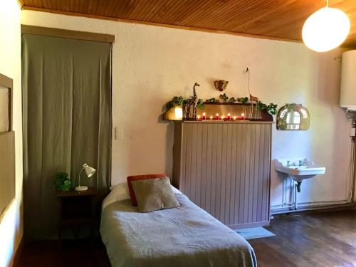 a bedroom with a bed and a sink in it at Maison des Séquoias - Parc 1 hectare- in Veyrac