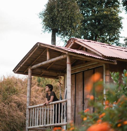 Κήπος έξω από το Hacienda Venecia Hostel