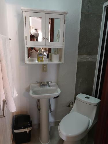 a bathroom with a toilet and a sink and a mirror at Apartamentos Rosarito.!! Con Vista al Mar ! in Rosarito
