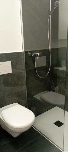 a bathroom with a toilet and a shower at Casa Simone in Giubiasco