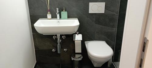 a bathroom with a white sink and a toilet at Casa Simone in Giubiasco