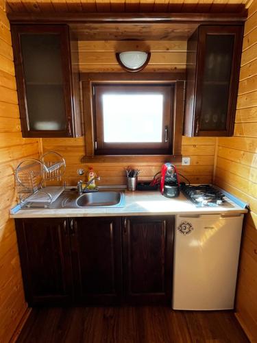 a kitchen with a sink and a refrigerator at Szépasszony Guest House in Vlăhiţa