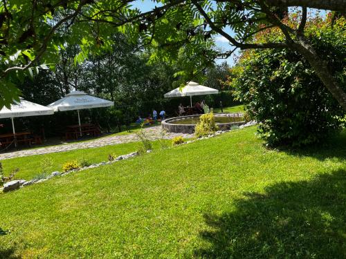 a park with tables and umbrellas on a lawn at Szépasszony Guest House in Vlăhiţa