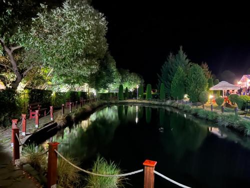 a pond in a park at night at Szépasszony Guest House in Vlăhiţa