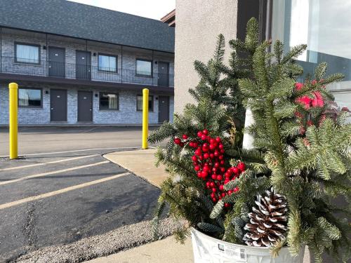 Un árbol de Navidad en una olla al lado de una calle en Stone Creek Inn, en Worth