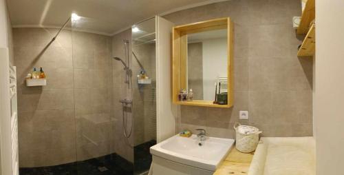 une salle de bain avec douche et lavabo dans l'établissement Appartement familial, à Vélizy-Villacoublay