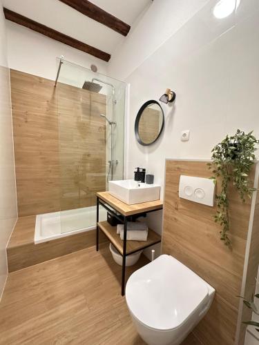 La salle de bains est pourvue de toilettes, d'un lavabo et d'une douche. dans l'établissement Agora, à Split