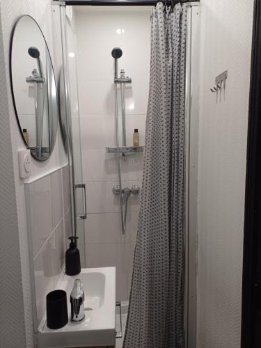 une salle de bain avec un lavabo et une douche avec un miroir dans l'établissement Bright small studio Paris Saint Ouen, à Saint-Ouen