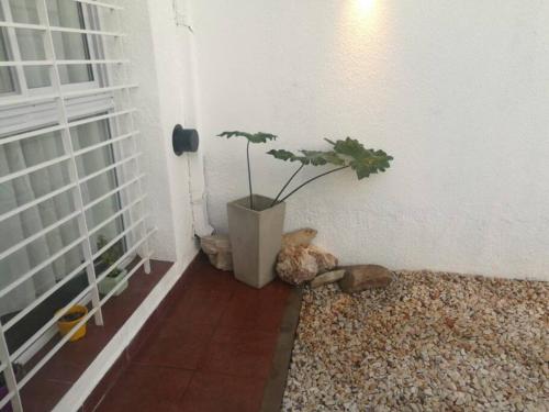Gambar di galeri bagi CasitaLibertad di Villa Augusta