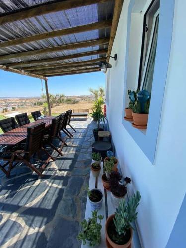 a patio with a table and potted plants on it at Monte Das 7 Oliveiras in Pias