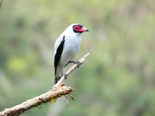 Valle de los Quetzales – Photos 3