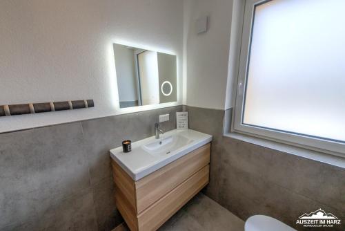 een badkamer met een wastafel en een spiegel bij Auszeit im Harz Haus 3 Wohnung 6 in Braunlage