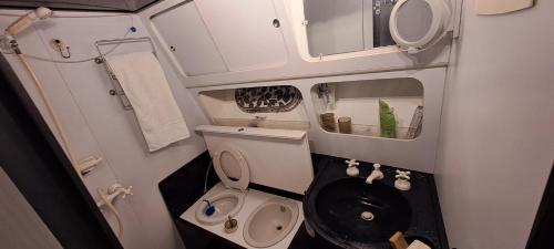 a small bathroom with a toilet and a sink at HEBERGEMENT Bateau à Quai in Avignon