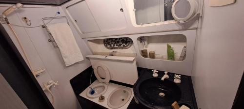 a small bathroom with a toilet and a sink at BATEAU à Quai in Avignon