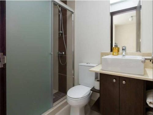 a bathroom with a toilet and a sink and a shower at Suite bussines half of the world 12 in Quito