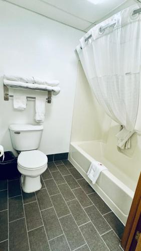 a bathroom with a toilet and a shower curtain at Forest City Inn in Forest City