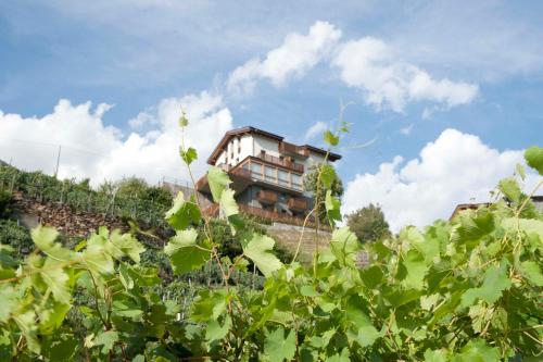 Gallery image of Wine Hotel Retici Balzi in Poggiridenti