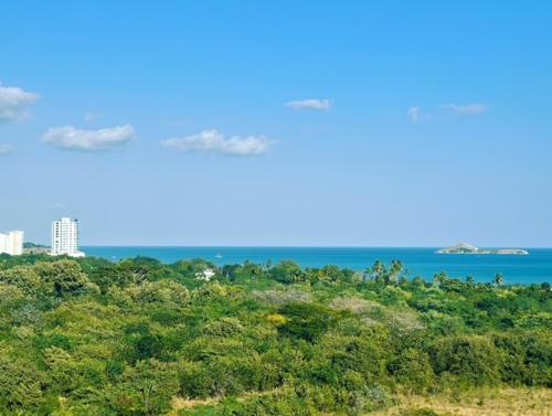 - une vue sur l'océan depuis une colline arborée dans l'établissement Panama's Paradise Playa Blanca Ocean & Pool View, à Río Hato