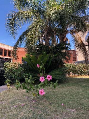 a palm tree with pink flowers in front of a building at Hotel Gaudí in Punta del Este