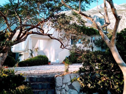 Apartments with parking space Makarska - 22490