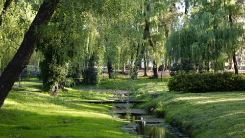 un parque con un río, árboles y césped en Departamento en Tandil - Céntrico en Tandil