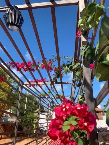 a bunch of flowers are hanging from a ceiling at Pousada Bugaendrus in Touros