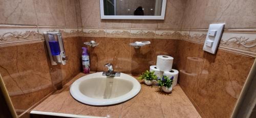 y baño con lavabo y espejo. en Bonito Loft Capri, 5 m Consulado en Ciudad Juárez