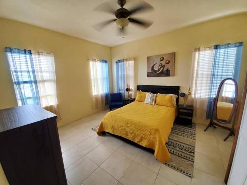 1 dormitorio con 1 cama y ventilador de techo en OCEAN VIEW VILLA, Tortola, British Virgin Islands, en Tortola Island