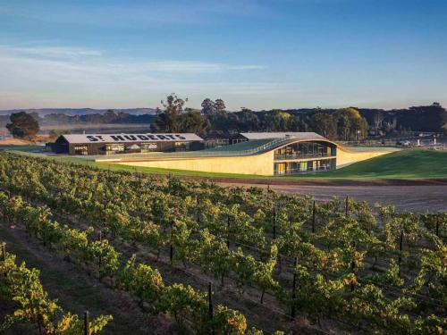 a vineyard with a building and a bunch of vines at Gracemont Boutique Accommodation in Healesville
