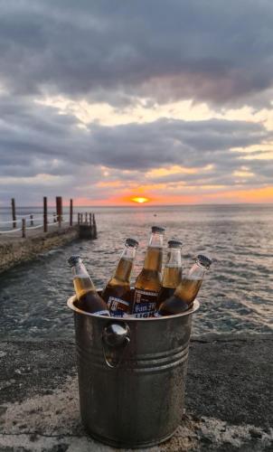 a bucket full of beer bottles in the ocean at Dive and Trek Resort and Marine Sanctuary in Bauan