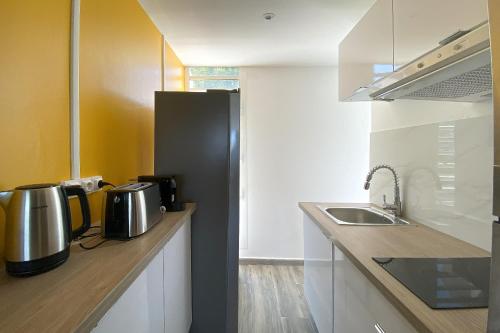 a kitchen with a sink and a black refrigerator at Carpe Diem Spacieux élégant et confortable appartement idéal pour les séjours professionnels in Les Abymes