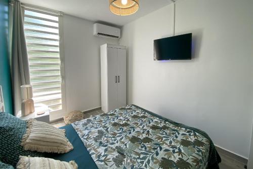 een slaapkamer met een bed en een flatscreen-tv bij Carpe Diem Spacieux élégant et confortable appartement idéal pour les séjours professionnels in Les Abymes