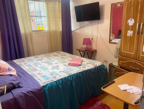 1 dormitorio con 1 cama y TV en la pared en Don Quijote Family Homestay en Santiago