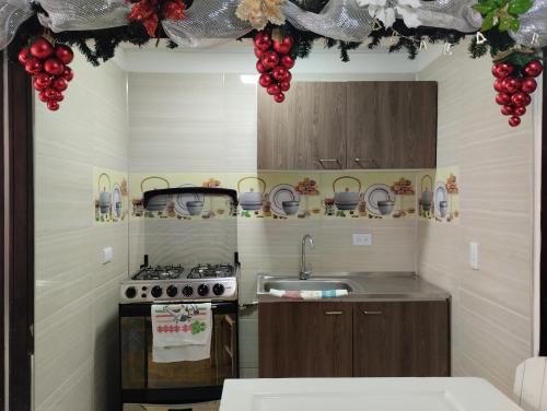 uma cozinha com um fogão e um lavatório em Habitación en apartahotel Sarita Salento em Salento