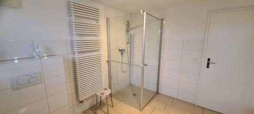 a shower with a glass door in a bathroom at Seesternchen-FeWo-Nr-1-EG in Böhl