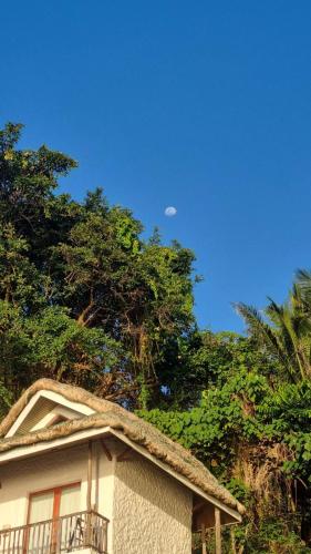 a house with a roof with trees in the background at Dive and Trek Resort and Marine Sanctuary in Bauan