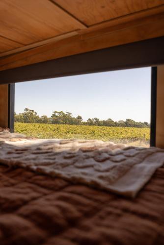 a bed in a room with a view of a field at CABN McLaren Vale in McLaren Flat