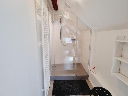 une salle de bain avec une douche avec une porte vitrée dans l'établissement Appartement tout équipé dans un cadre naturel, proche du Parc Avesnois et commodités, jusqu'à 5 pers. - FR-1-510-189, à Orsinval