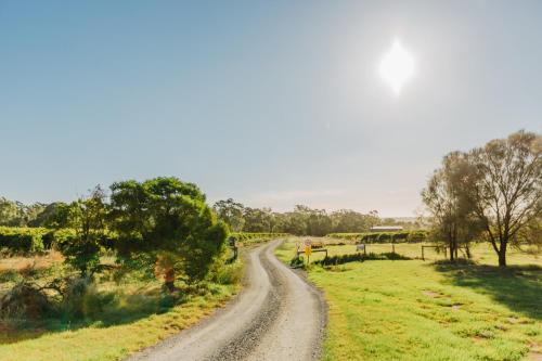 a dirt road in the middle of a field at CABN McLaren Vale in McLaren Flat