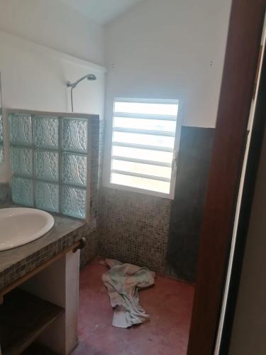 ein Bad mit einem Waschbecken und einem Fenster in der Unterkunft Maison jaune bord de la mer in Ambatoloaka