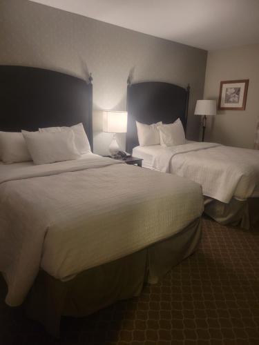 two beds in a hotel room with two lamps at Natural Bridge Hotel, Trademark Collection by Wyndham in Natural Bridge
