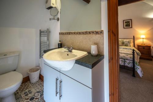 een badkamer met een wastafel en een toilet bij Crooks in Axbridge