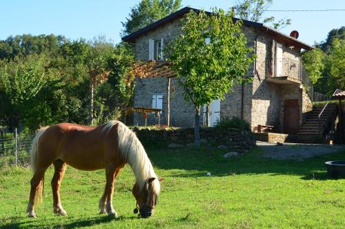 a horse grazing in the grass in front of a house at Locanda di Campagna in Mulazzo