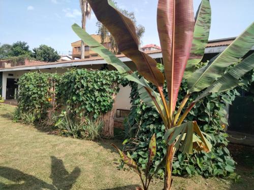 Gallery image of Gaia Eco Hub BnB in Fort Portal
